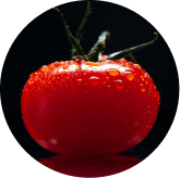 Lycopene